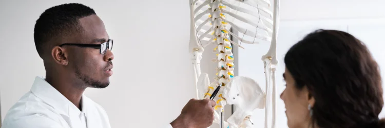 Top chiropractic